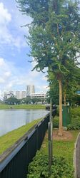 Upper Boon Keng Road (Kallang/Whampoa),  #416535441